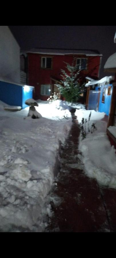 Ushuaia Centro Complejo De Cabanas מראה חיצוני תמונה